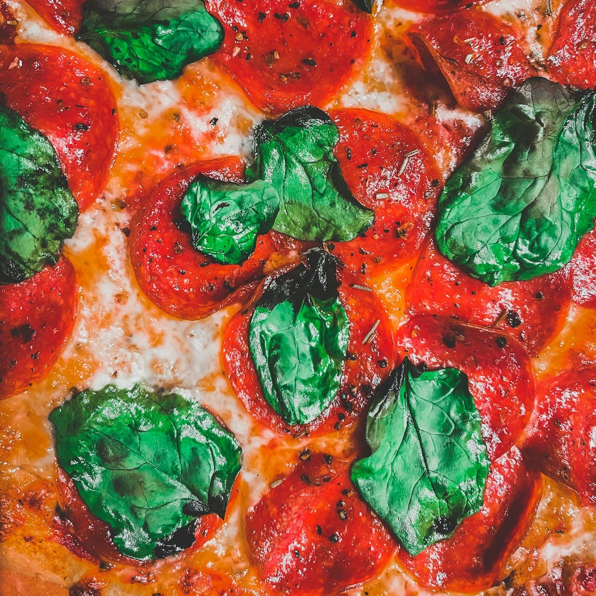 Pizza margherita